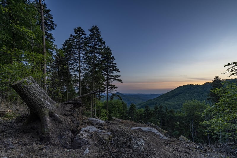 Sunrise Hike